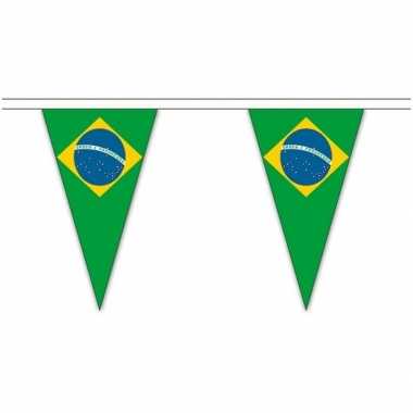 Braziliaanse brazilie landen punt vlaggetjes 5 meter