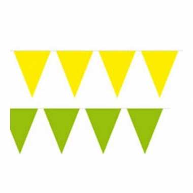 Braziliaanse kleuren vlaggenlijnen