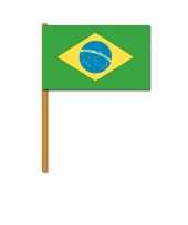 Braziliaanse handvlaggetje brazilie