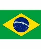 Braziliaanse vlag mini 60 x 90 cm