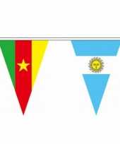 Braziliaanse wereld vlaggenlijn 11 meter