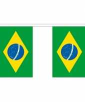 Luxe braziliaanse vlaggenlijn 3 meter